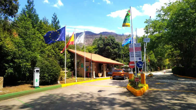 entrada de recepción
